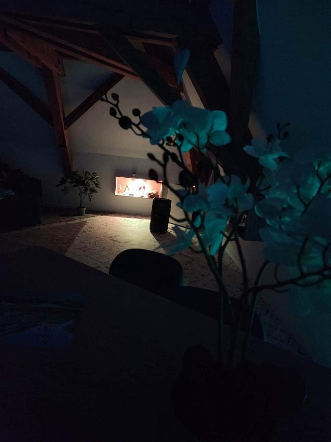 Nid De Cigogne Daire Illhaeusern Dış mekan fotoğraf